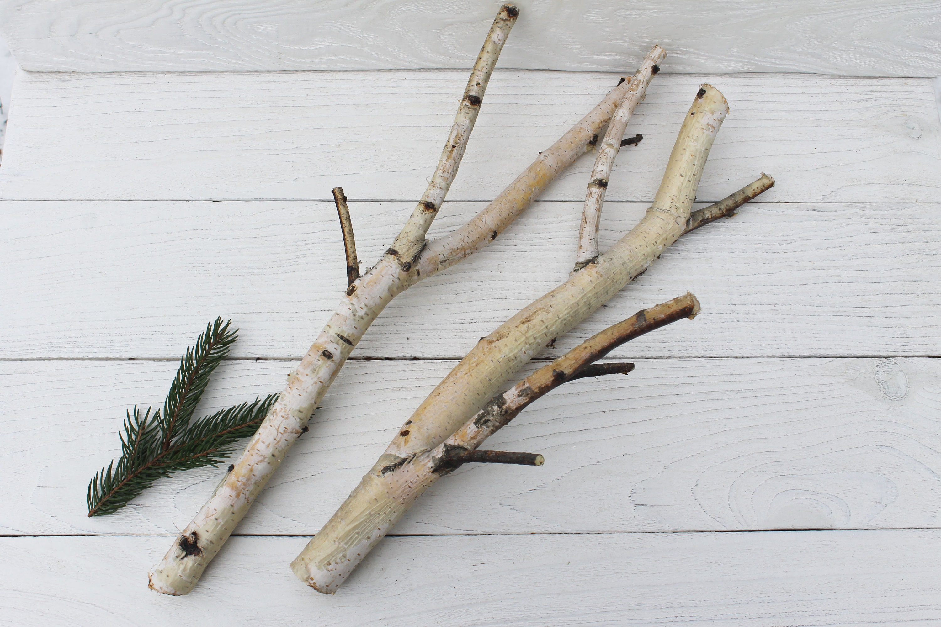 White birch branches Wood branch decor Etsy