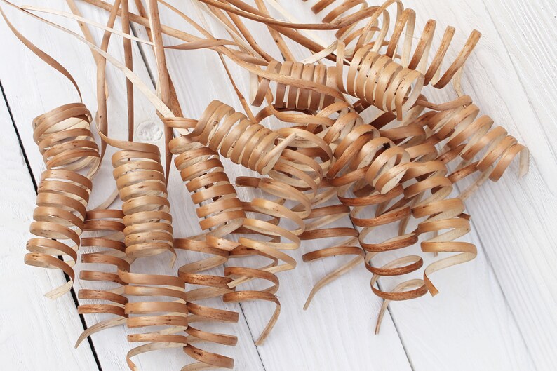 Dried branches decor Etsy