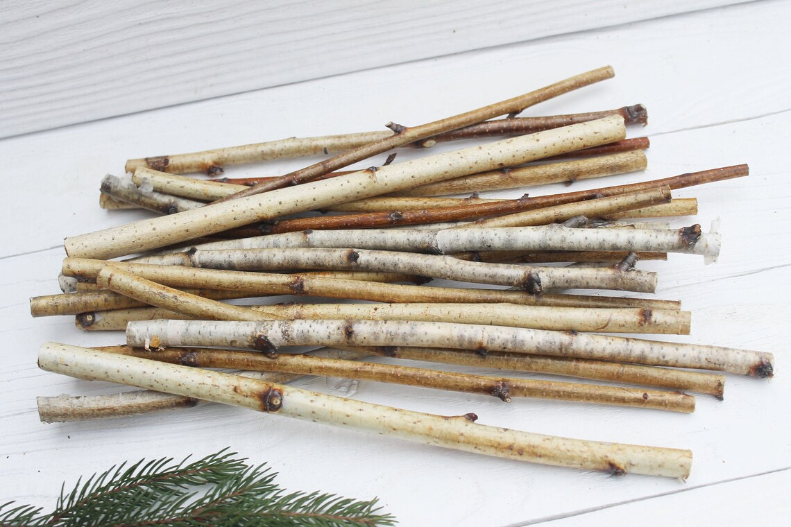 White birch sticks Wood sticks for crafts Birch twigs decor Etsy