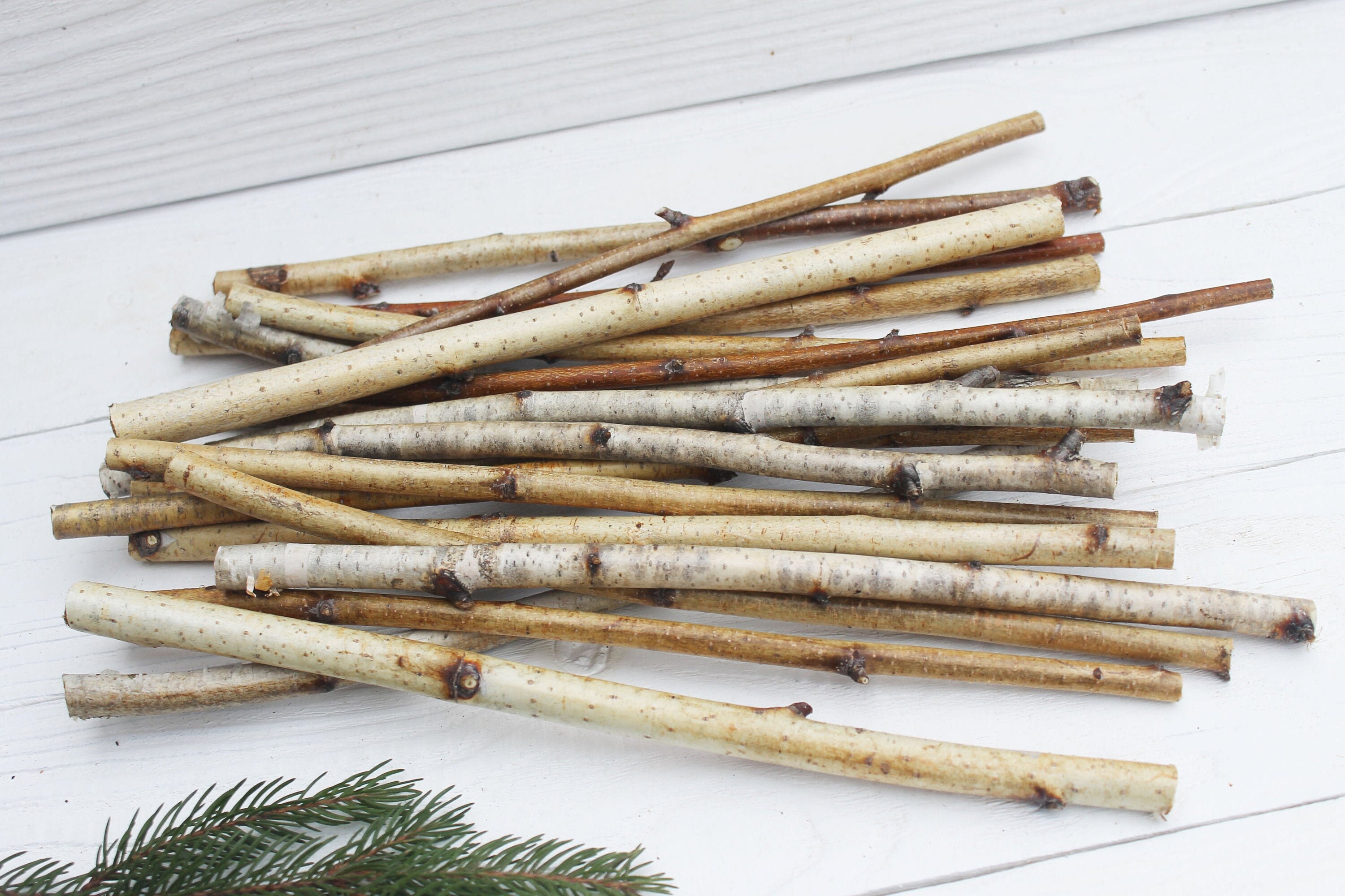White birch sticks Wood sticks for crafts Birch twigs decor Etsy