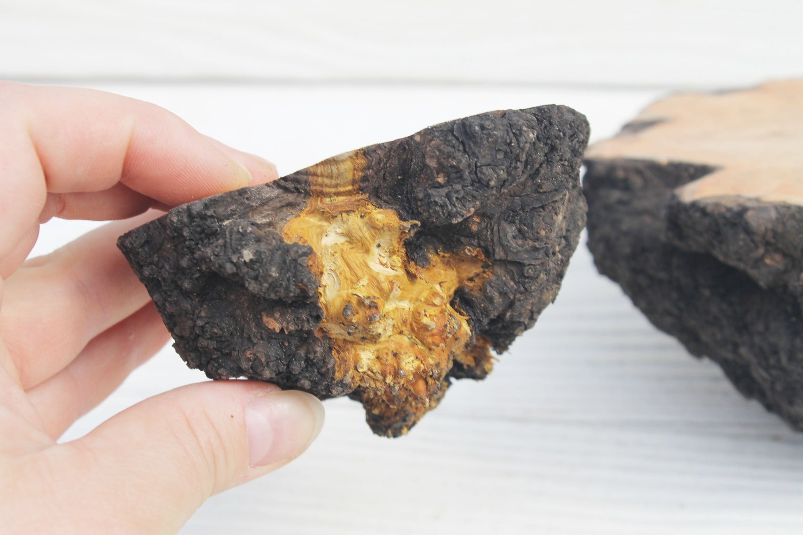 Raw burl wood pieces Tree burl Etsy