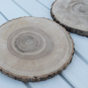 large tree slice Ash wood slice Rustic wedding decor image 10