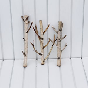 White birch branches Natural forest decor Set of wood sticks