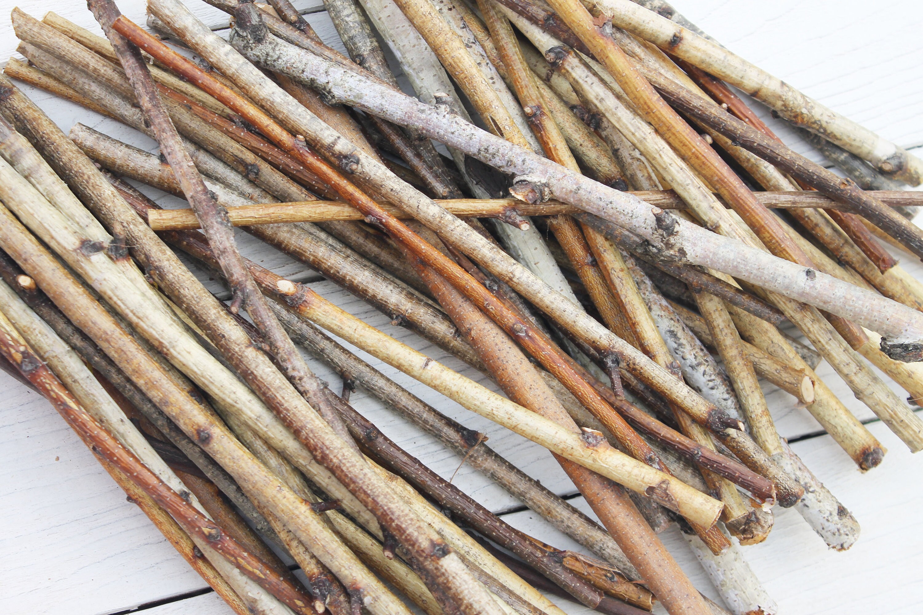 20 Thin birch sticks Wood branches for vase White birch twigs Etsy