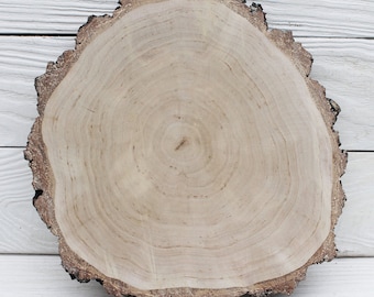 Wood slices for centerpieces large birch slice Wood rounds for crafts