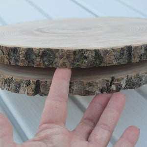 large tree slice Ash wood slice Rustic wedding decor image 8