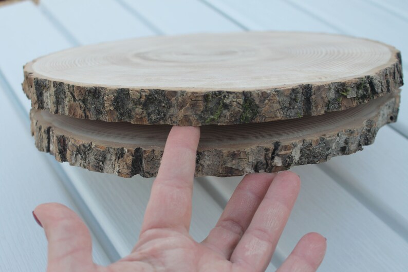 large tree slice Ash wood slice Rustic wedding decor image 8