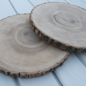 large tree slice Ash wood slice Rustic wedding decor image 5