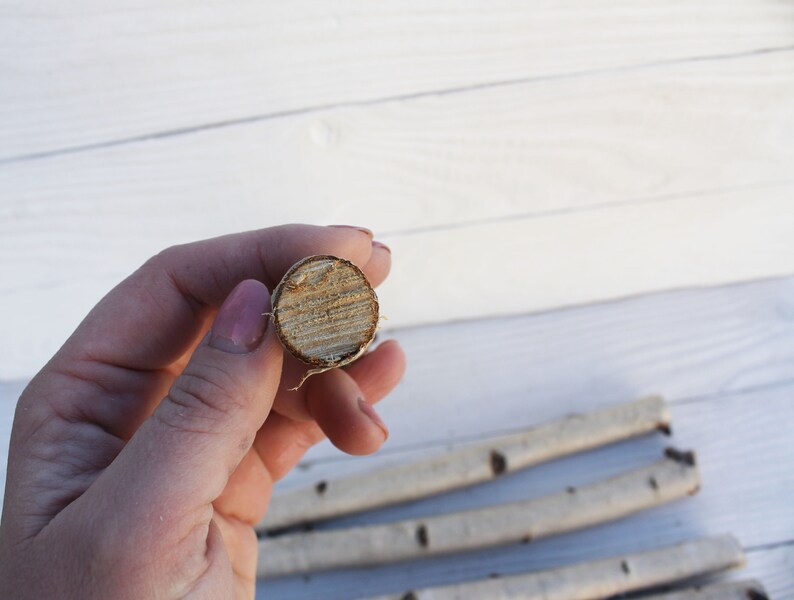 8 white birch branch Wood sticks for vase Etsy