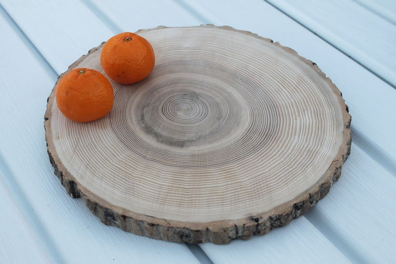 large tree slice Ash wood slice Rustic wedding decor image 4