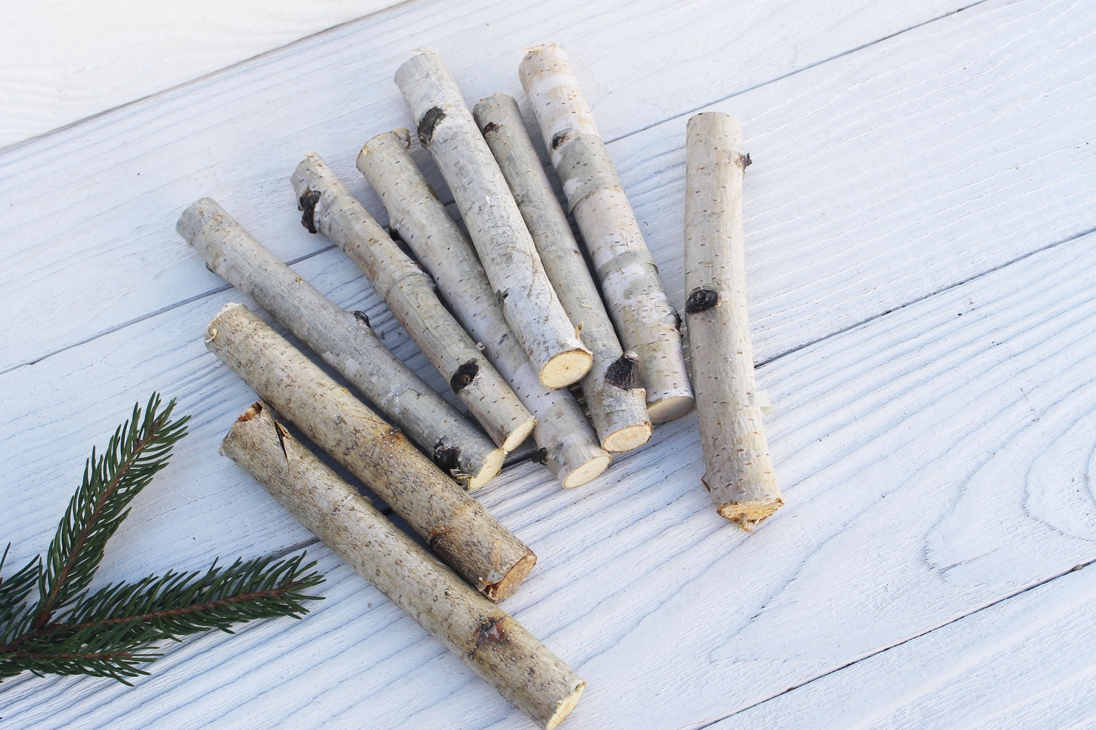 Wood craft sticks White birch sticks Etsy