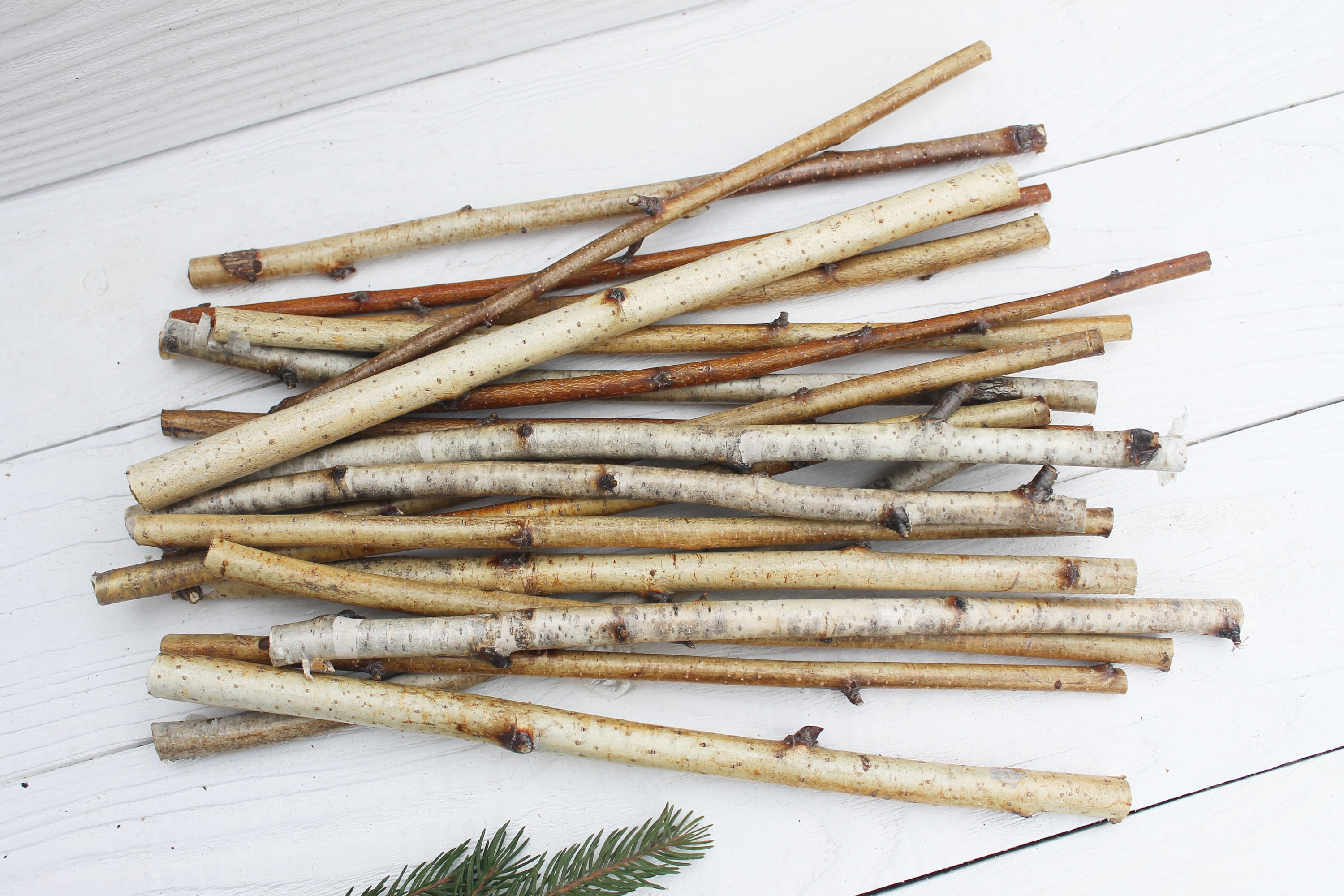 White birch sticks Wood sticks for crafts Birch twigs decor Etsy