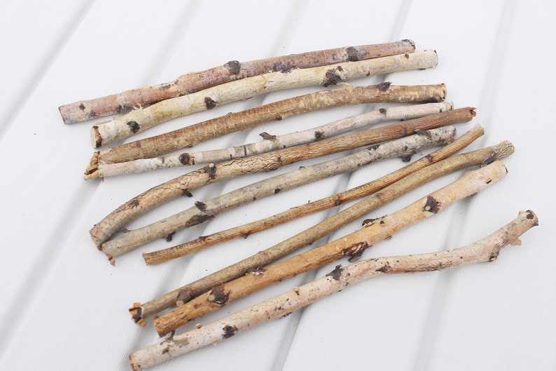 10 Birch Sticks Birch Logs for Decor - Etsy