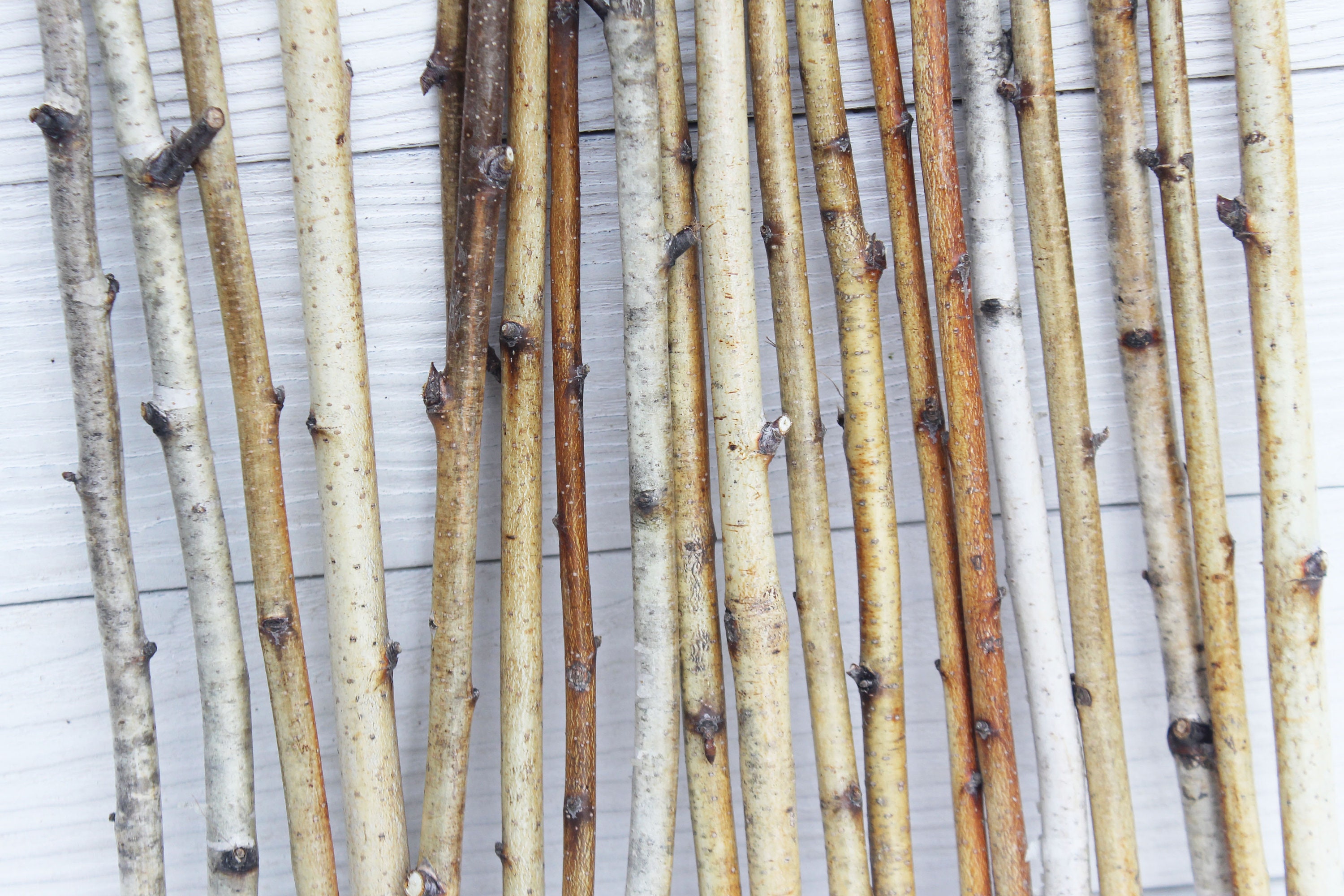 White birch sticks Wood sticks for crafts Birch twigs decor Etsy