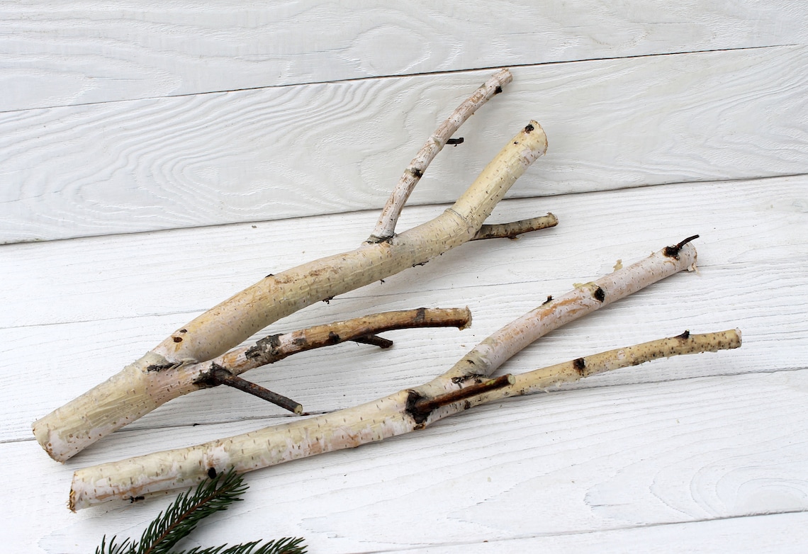 White birch branches Wood branch decor Etsy