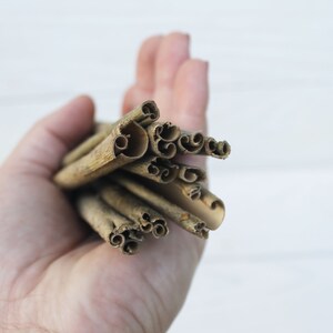 May include: A hand holding a bunch of cinnamon sticks. The sticks are brown and have a rough texture.