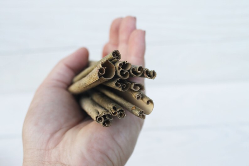 May include: A hand holding a bunch of cinnamon sticks. The sticks are brown and have a rough texture.