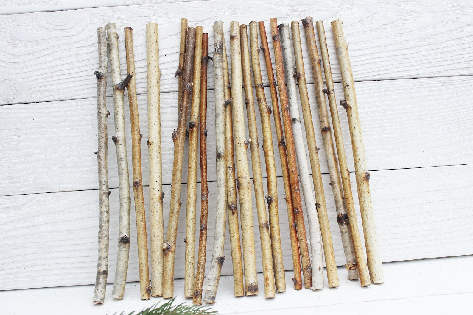 White birch sticks Wood sticks for crafts Birch twigs decor Etsy