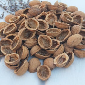 Peut inclure: Un tas de coquilles de noix brunes, certaines entières et d'autres fendues, est disposé sur une surface blanche. Quelques brins de lavande séchée se trouvent dans le coin supérieur gauche. Les coquilles sont d'une teinte naturelle et terreuse.