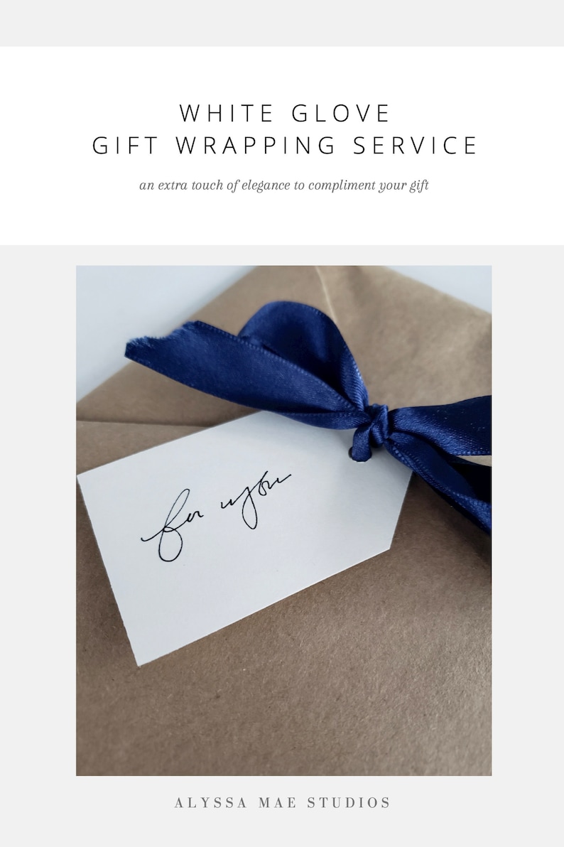 May include: A brown paper gift bag with a blue ribbon tied around it. The tag on the bag says "for you".