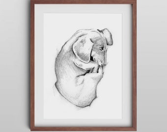 Dachshund Gift, Dog Art, Dog Lover Gift, Pet Remembrance Gift, Dog Sympathy Gift, In Memory of Dog, Dog Remembrance Gift, Christmas Gift