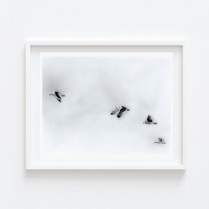 Black and White Art | Bird Art | Pencil Art | Nature Art | Landscape Art | Fine Art Print | Beach Art | Modern Art Print | Valentine Gift