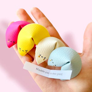 Peut inclure: Quatre biscuits chinois colorés, rose, jaune, crème et bleu, sont présentés dans une main. Chaque biscuit a un visage souriant. Une languette blanche avec le texte "N'oublie pas de rêver grand" est visible.