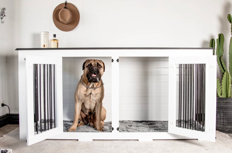 5 Cool Indoor Dog House Ideas For Australians