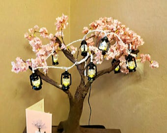 Welcome summer Blossoms! Burgundy pink Cherry Blossom on a Shelf -special!