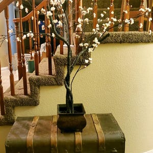 May include: A brown wooden antique trunk with leather straps and brass hardware sits on a carpeted floor. A small potted tree with white blossoms is on top of the trunk. The tree is in front of a wooden staircase with a carpeted runner.