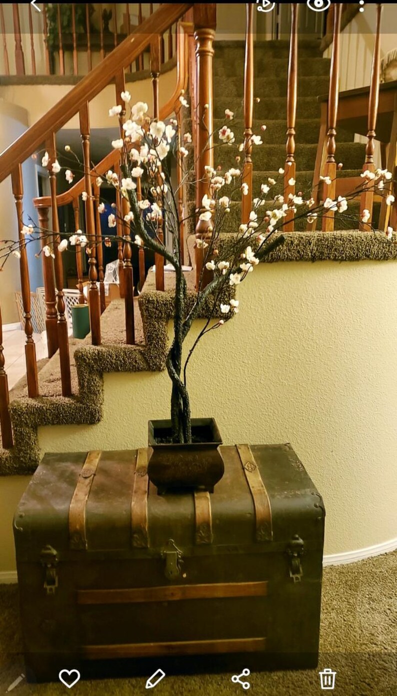 May include: A brown wooden antique trunk with leather straps and brass hardware sits on a carpeted floor. A small potted tree with white blossoms is on top of the trunk. The tree is in front of a wooden staircase with a carpeted runner.