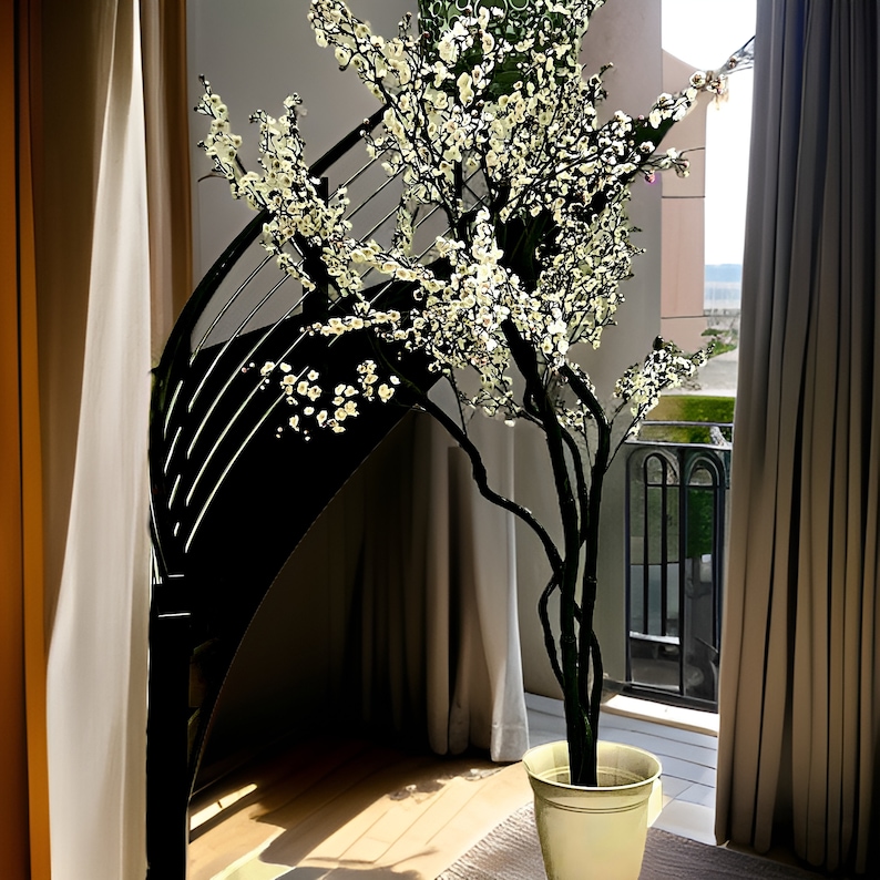 May include: A white flowering tree with delicate blossoms in a white pot, placed on a wooden floor in front of a window with white curtains. The tree is in a modern interior setting.