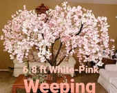 Articolo da questo negozio