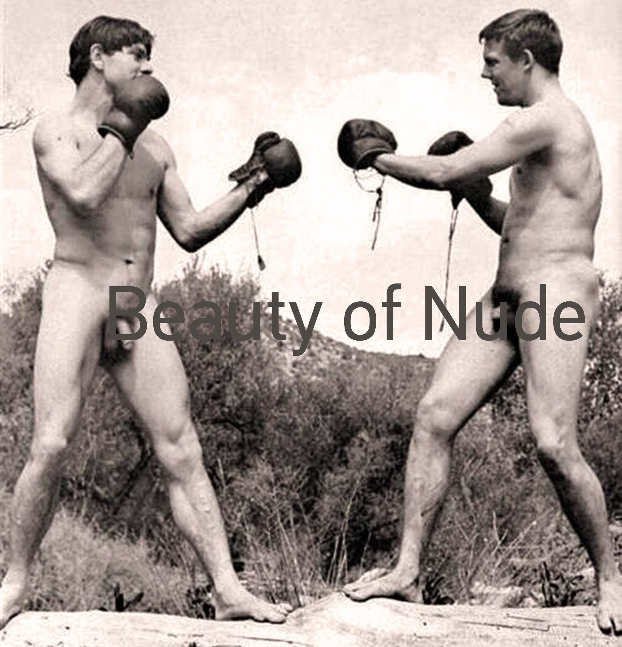 Nude Men Boxing.