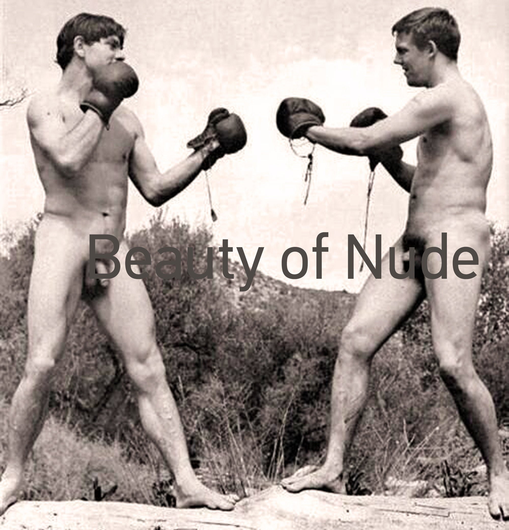 Male Nude Boxing