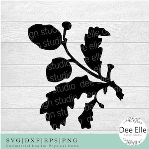 Fall Oak Leaves Branch and Acorns SVG, Autumn Leaves Svg, Oak Leaves Svg, Acorn Svg, Autumn Cut Files for Cricut