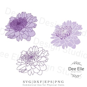 Chrysanthemum Svg, Flower Svg, Floral Svg, Spring Svg, Daisy Flower Svg, Flowers Svg, Mum, Mother&#39;s Day,  Flower Silhouette, Flower Png