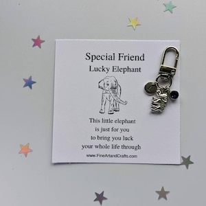 Elephant keychain, elephant keyring, personalised gift, special friend gift , birthday gift idea for a friend, lucky elephant charm