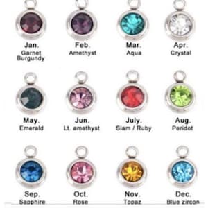 May include: Twelve silver charms with different colored gemstones, each representing a month of the year. The charms are labeled with the month and the corresponding birthstone.