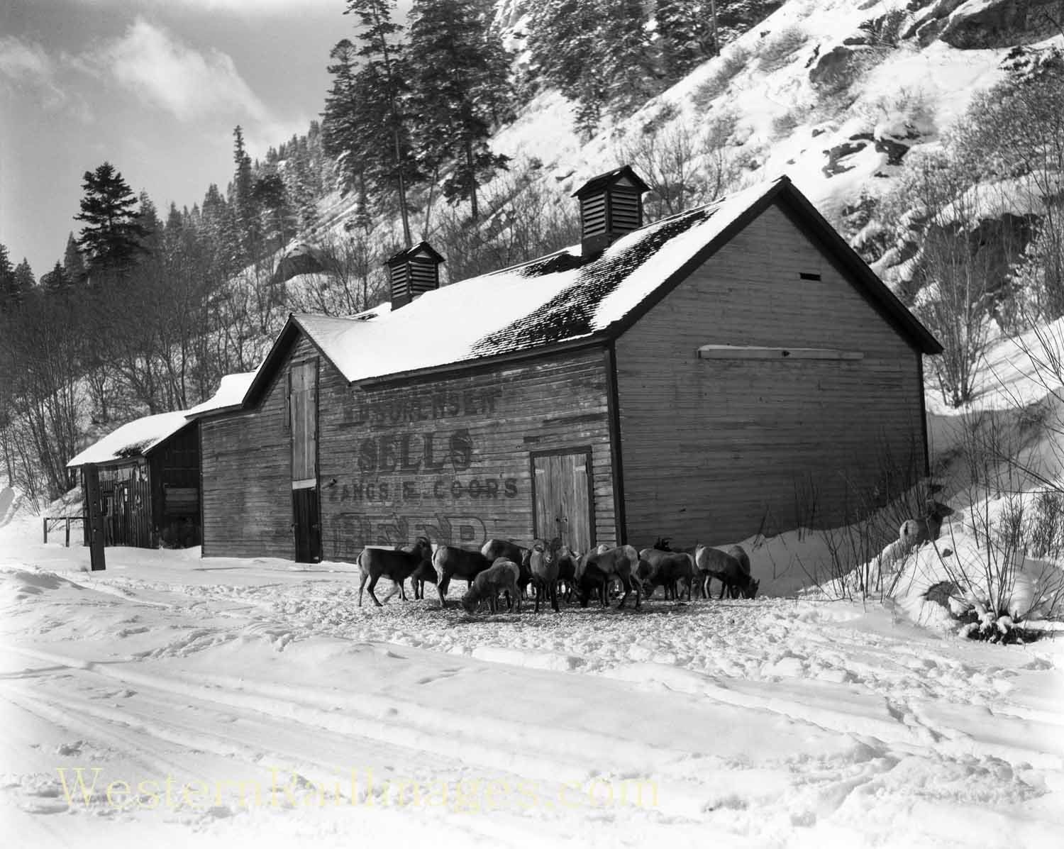 Train Horns for sale 72 ads for used Train Horns