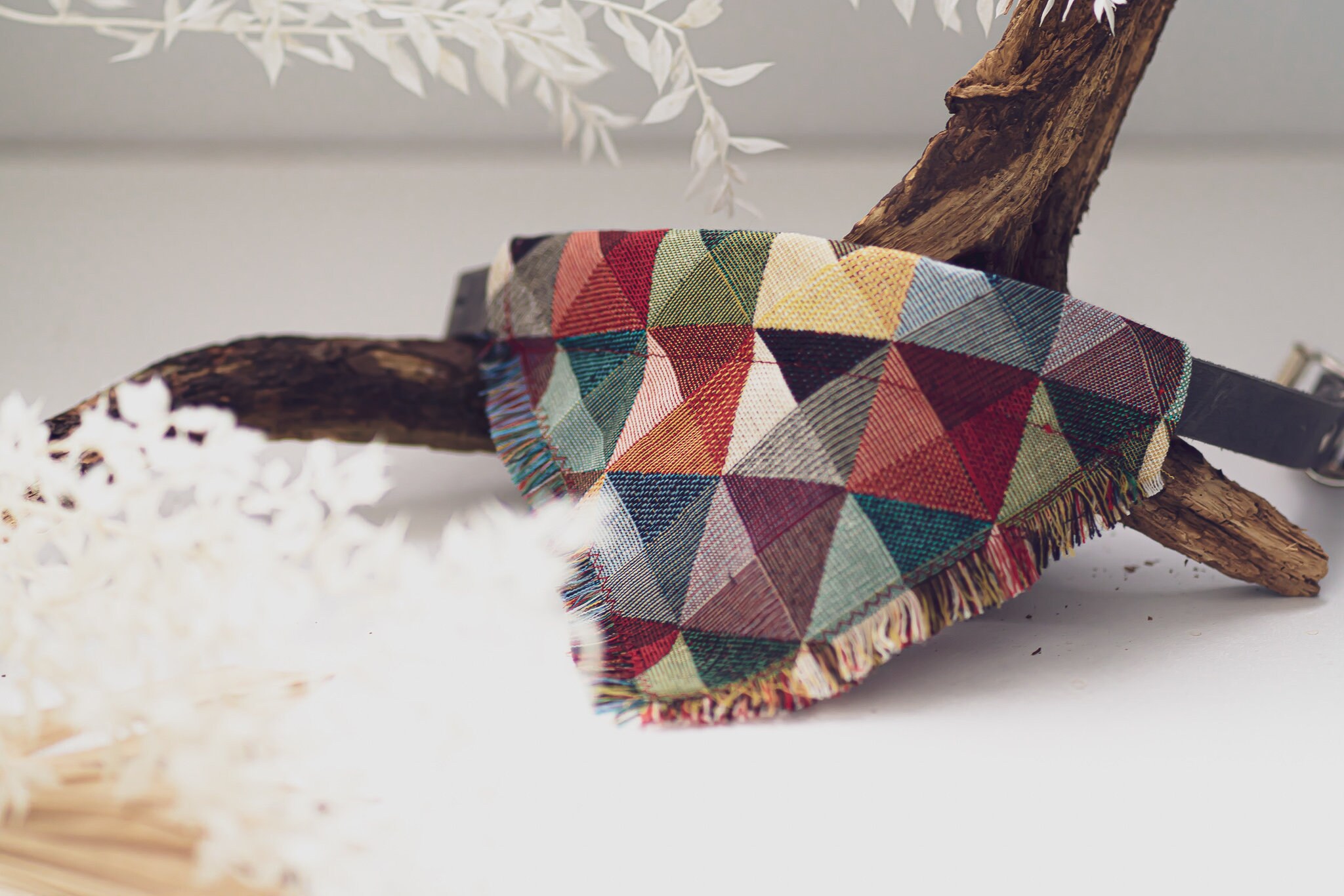 bandanas hunde