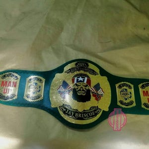 ROH  JAY BRISCO champion wrestling belt adult size