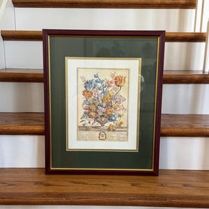 Robert Furber Botanical Flower of the Month ~ Beautiful Summer Flowers Print Framed