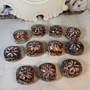 May include: Twelve brown and white seashell napkin rings with a starburst design.