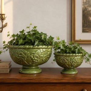 May include: Two glossy sage green ceramic planters with a pedestal base and a raised relief pattern of grape clusters and vines. Each bowl-shaped planter features a thick, twisted rope-style rim and is filled with trailing green ivy plants.