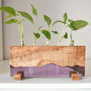 May include: A wooden propagation station with five glass tubes holding green plants. The wooden base has a natural wood grain pattern and a purple resin inlay. The station is supported by small wooden feet.