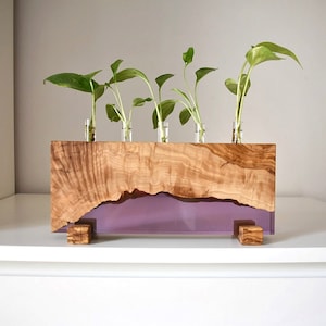 May include: A wooden planter with a live edge design, featuring a purple resin inlay. The planter holds five small glass tubes, each containing a plant with green leaves. The planter is supported by four small wooden blocks.