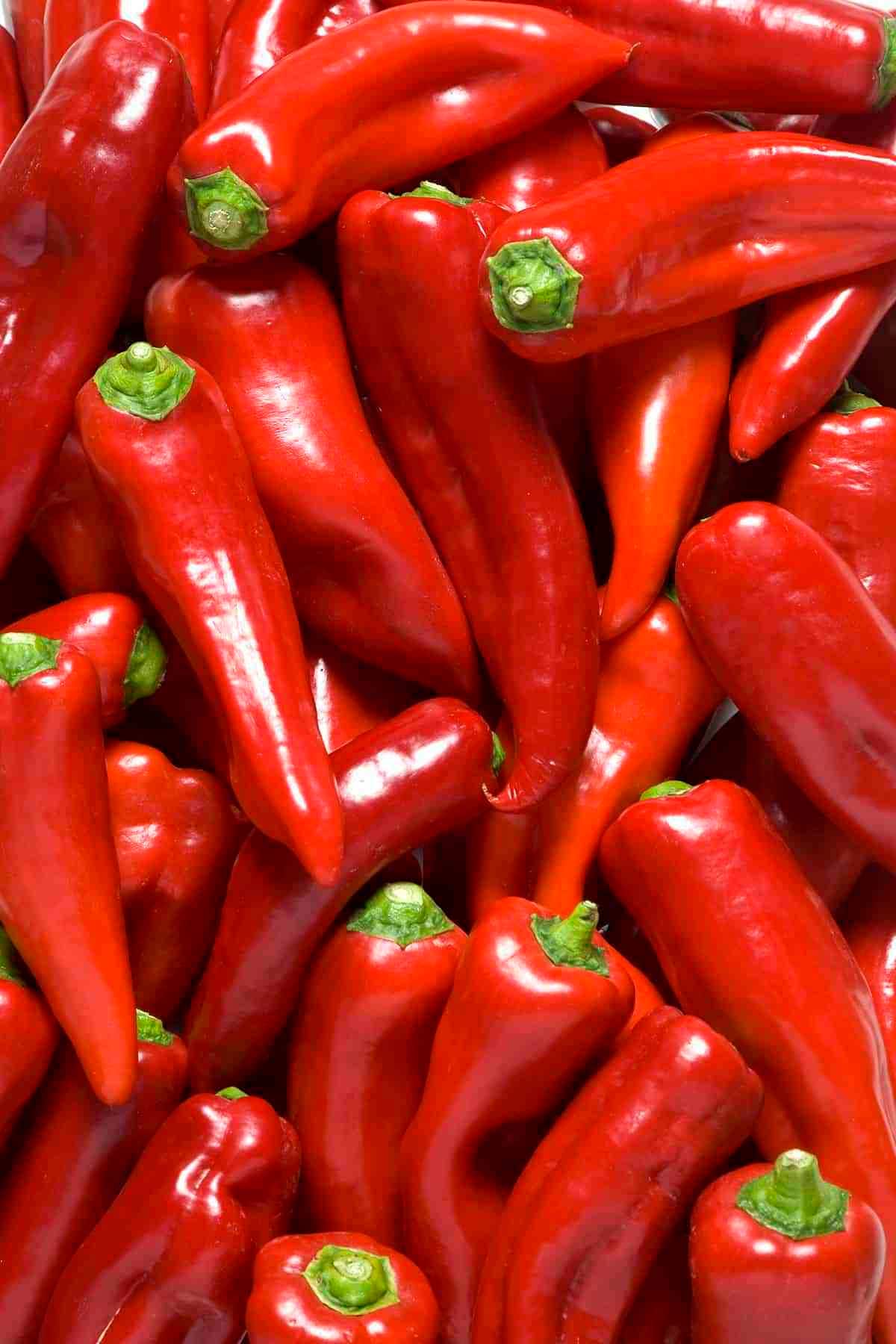 20 Seeds Paprika Pepper Seeds-Z105CAPSICUM ANNUUM Non GMO | Etsy