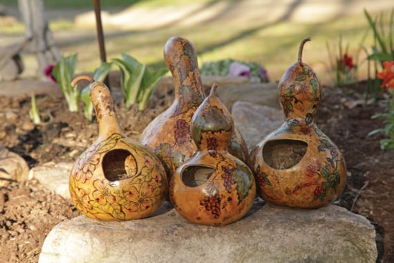 Graines De Courge Bouteille Non-OGM - 10 Pièces - TOYHEART - Pour Jardin Potager