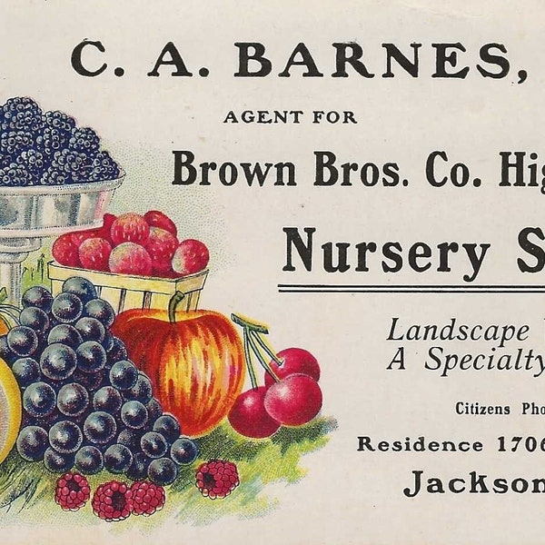 Vintage Nursery Stock Advertising Card C A Barnes Agent for Brown Bros Co High Grade Nursery Stock Jackson Michigan